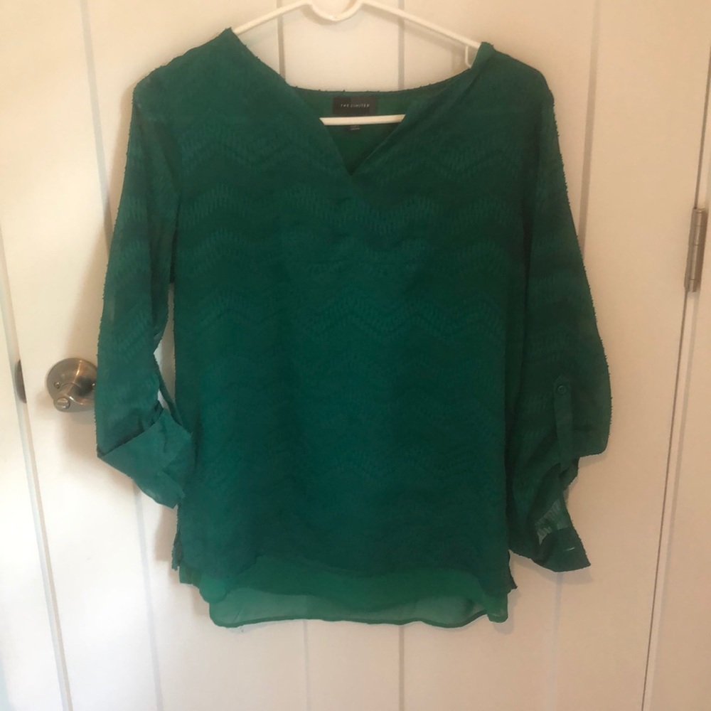 The Limited blouse with sheer sleeves